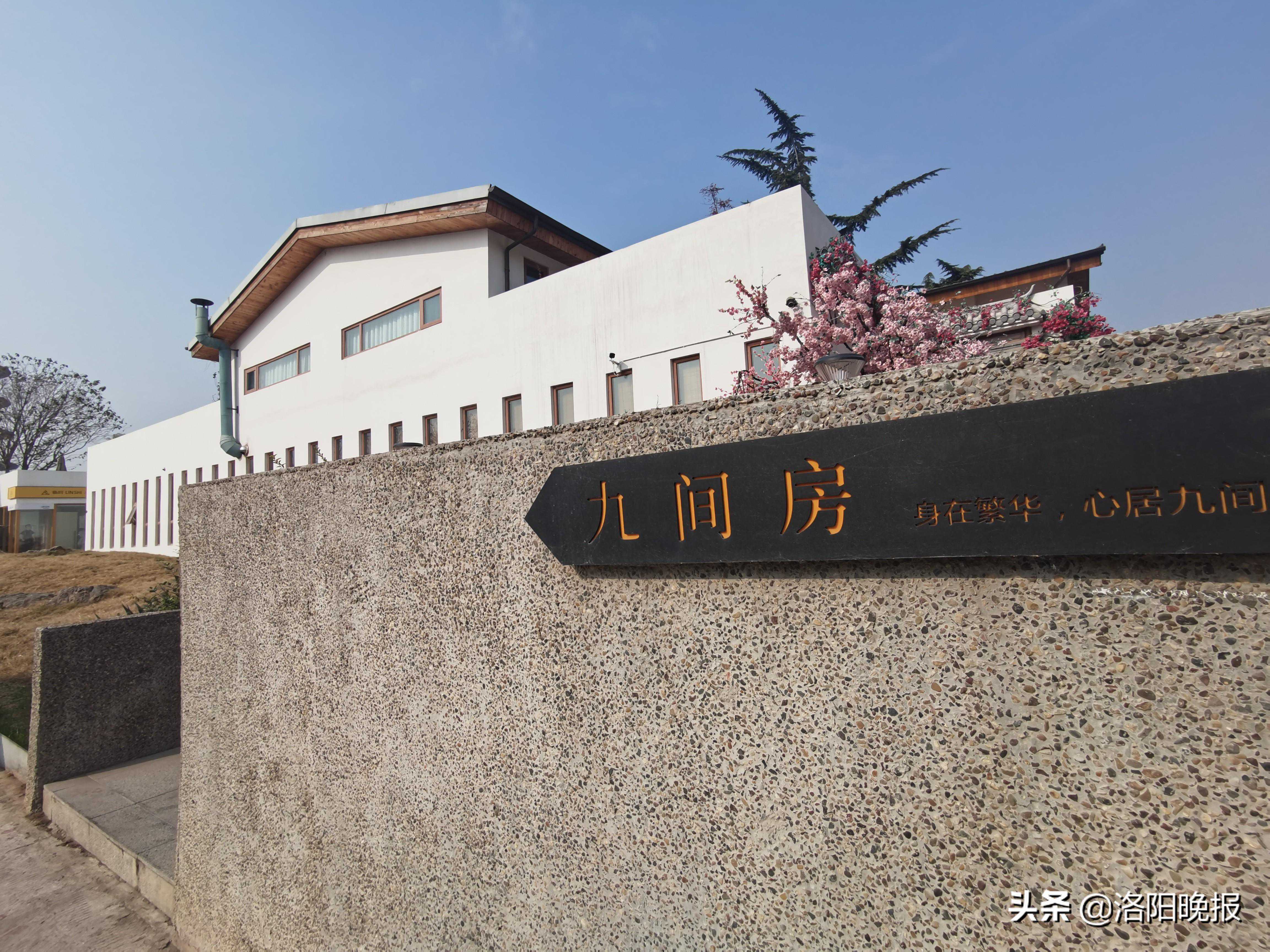 青春洛阳打卡地：这家民宿“自带流量”