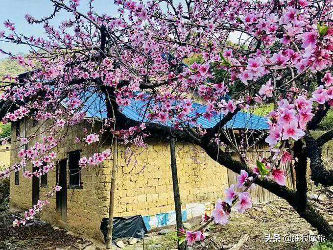 广东最美乡村——乐昌九峰