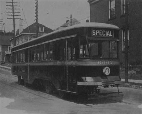 建在树上的度假酒店