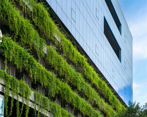 从深圳到韶关 来回驱车700公里 雨战龙斗峰#风雨户外#龙斗峰