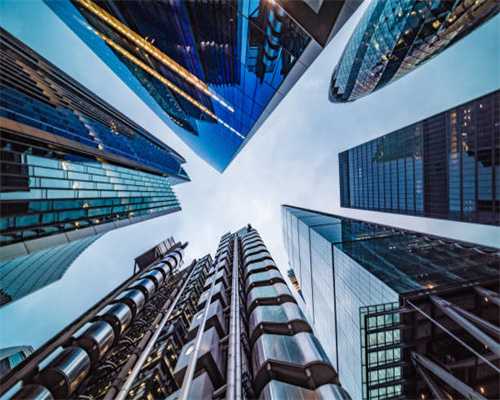 国庆深圳动物园人气十足，“国宝动物”齐登场