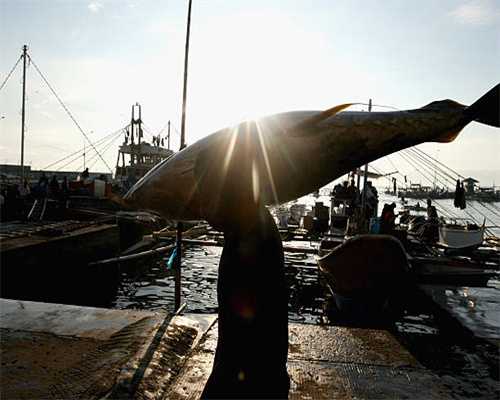 金沙湾水世界开园季福利：12周岁及以下儿童免票