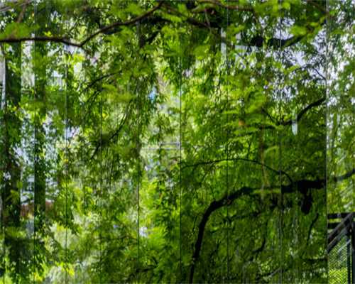 武进高铁站至奔牛机场客运专线开通