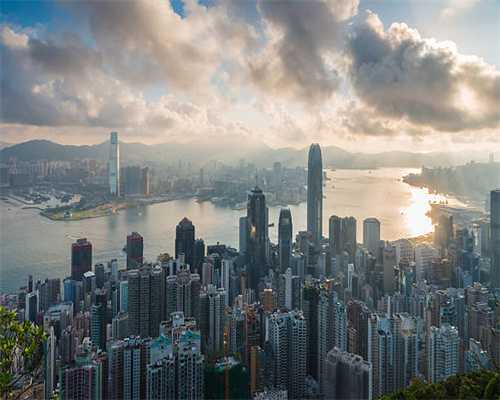 “村长”包车、游客组团，深中通道持续火爆！去打卡这些事情不要做→