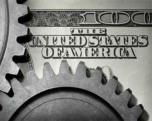 清源山200多岁的“情侣树”重生了