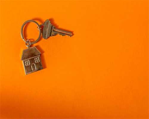 白沙每日工作动态（2024年11月1日）