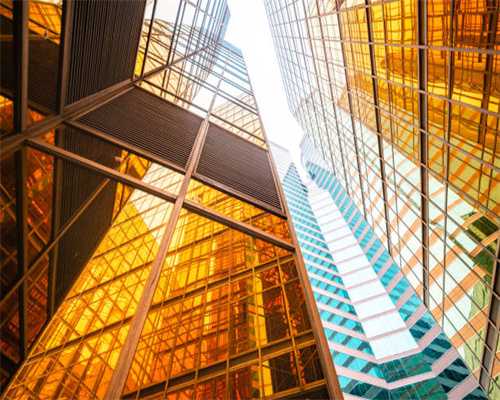 深圳野生动物园天鹅立冬秀恩爱