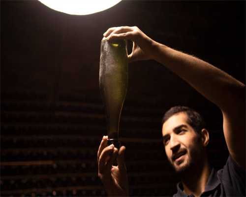 作为中国人，哈里斯or特朗普，选谁？