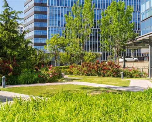 机场联络线4元起步，每公里0.45元，上海市域线票价方案定了