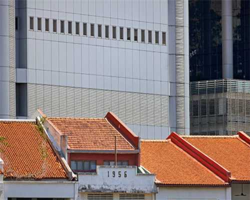 东南部胡椒价格稳中不变！巴地头顿地区下调1000越南盾