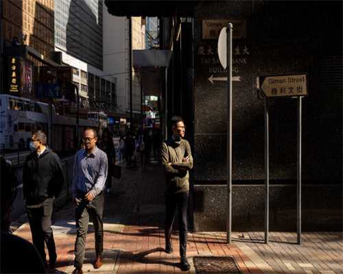 仙居田市：串点成线 共走乡村振兴致富路