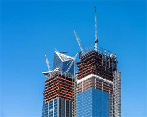 甘肃灵台：林下经济成为民众手中的“绿色福袋”