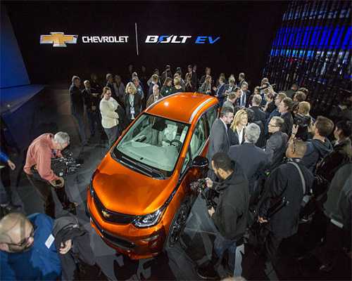 好名字征集中！厦门市园林植物园喊您来为这些打卡点取名啦→