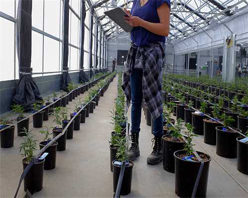 2024首届大湾区动漫电玩节在深圳开幕