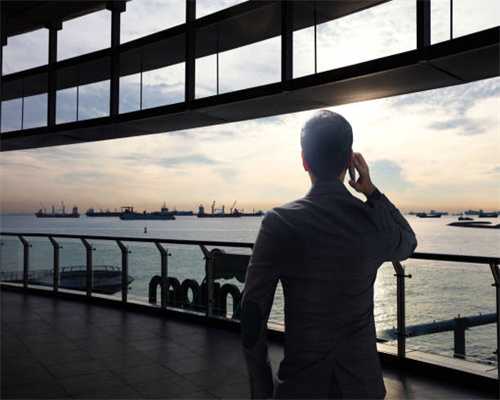 南京玄武湖情侣园的向日葵似“花海”