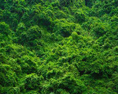 三．签证与登机 越南厂方说，先办旅游签证